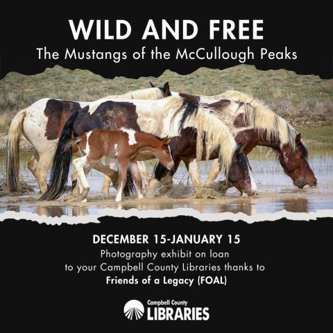 Wild and Free: The Mustangs of the McCullough Peaks