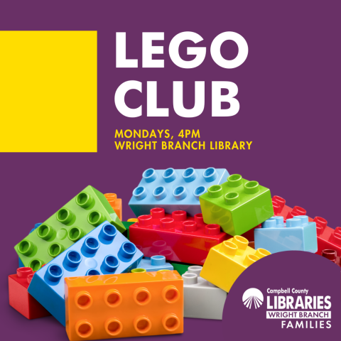 WBL LEGO club