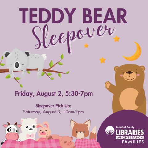 WBL Teddy Bear Sleepover