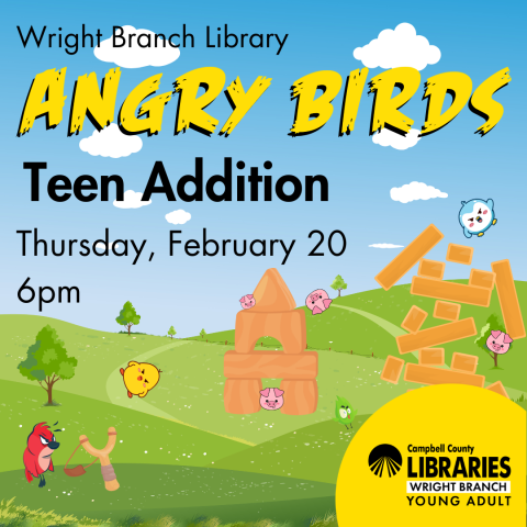 WBL Teen Angry Birds