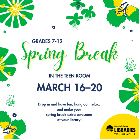 CCPL Teen Room Spring Break
