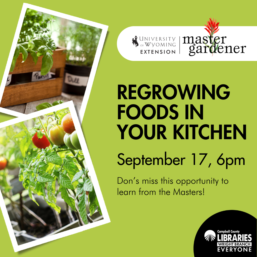 Regrowing Foods in Your Kitchen